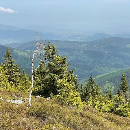 Mountains Family Retreat, Cleaning Included Сasa de vacaciones *